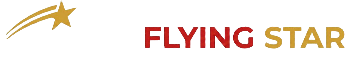 Logo Fylingstar Airporttransfer