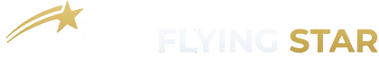 Flying Star Airport Transfer Frankfurt – book online at a fixed price