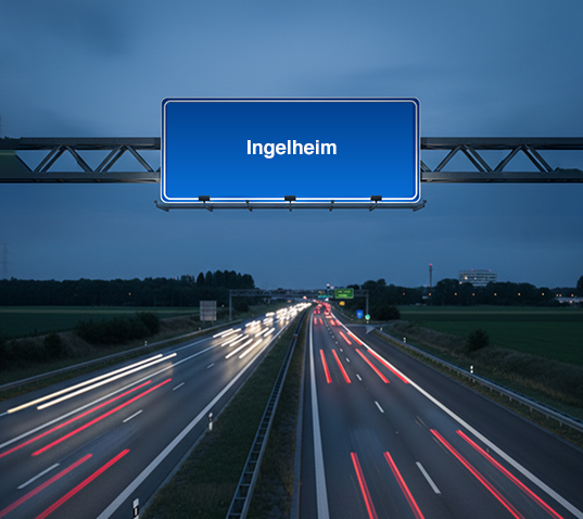 Flughafentransfer Ingelheim nach Frankfurt